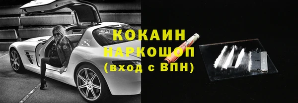 первитин Богданович
