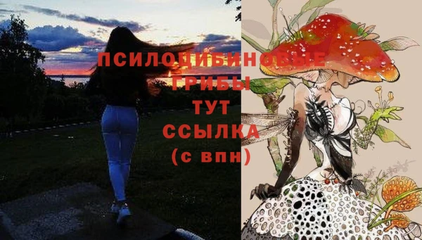 первитин Богданович
