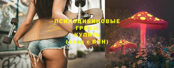 ПСИЛОЦИБИНОВЫЕ ГРИБЫ Бородино