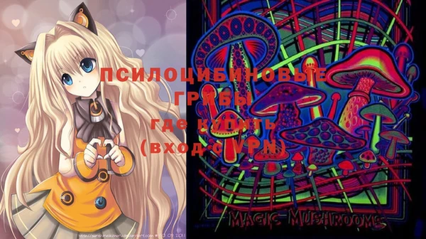 первитин Богданович