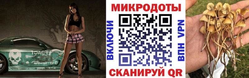 Псилоцибиновые грибы MAGIC MUSHROOMS  Щучье 
